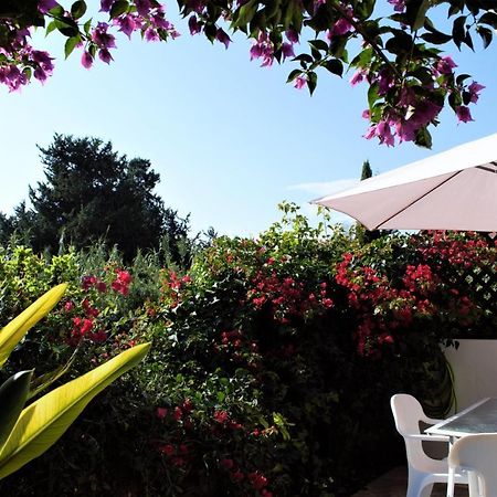 Townhouse In Paradise Gardens Pafos Zewnętrze zdjęcie
